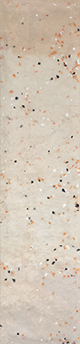 SPECK NOON
