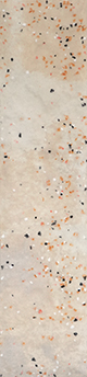 SPECK NOON