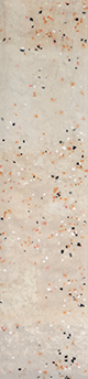 SPECK NOON