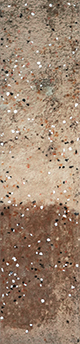 SPECK DUSK