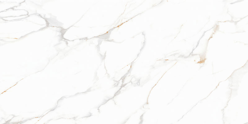 ROMAN WHITE