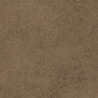 SPECTRA CUMIN