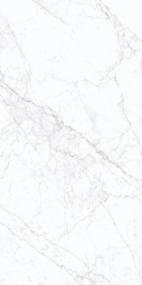 CARRARA FOGG PGVT GLOSSY