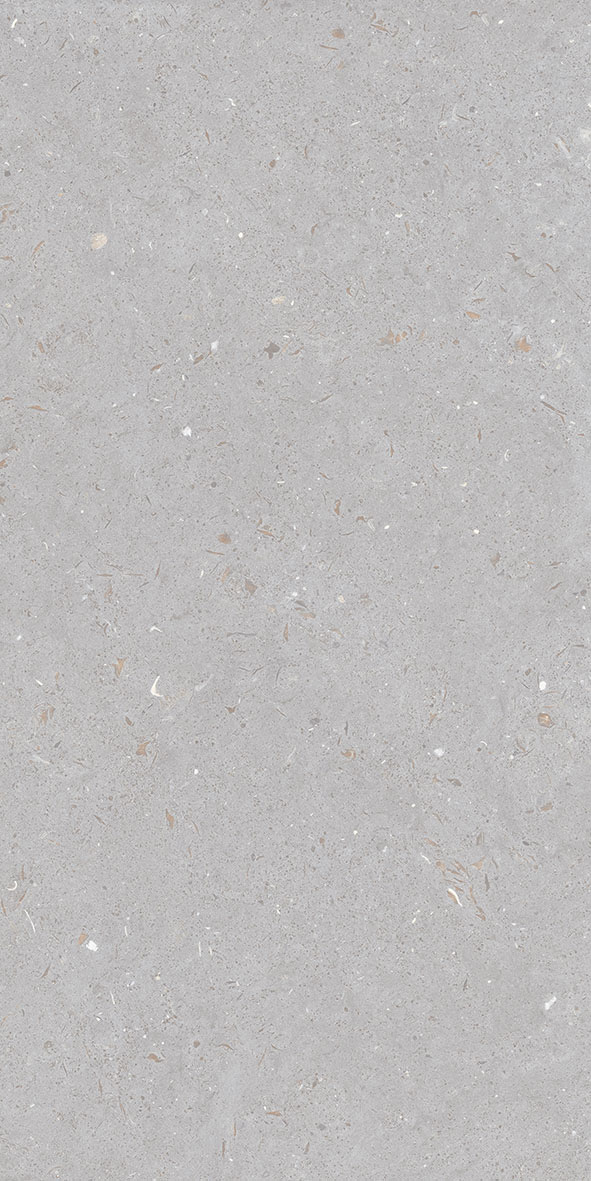 FOSSIL DOVE