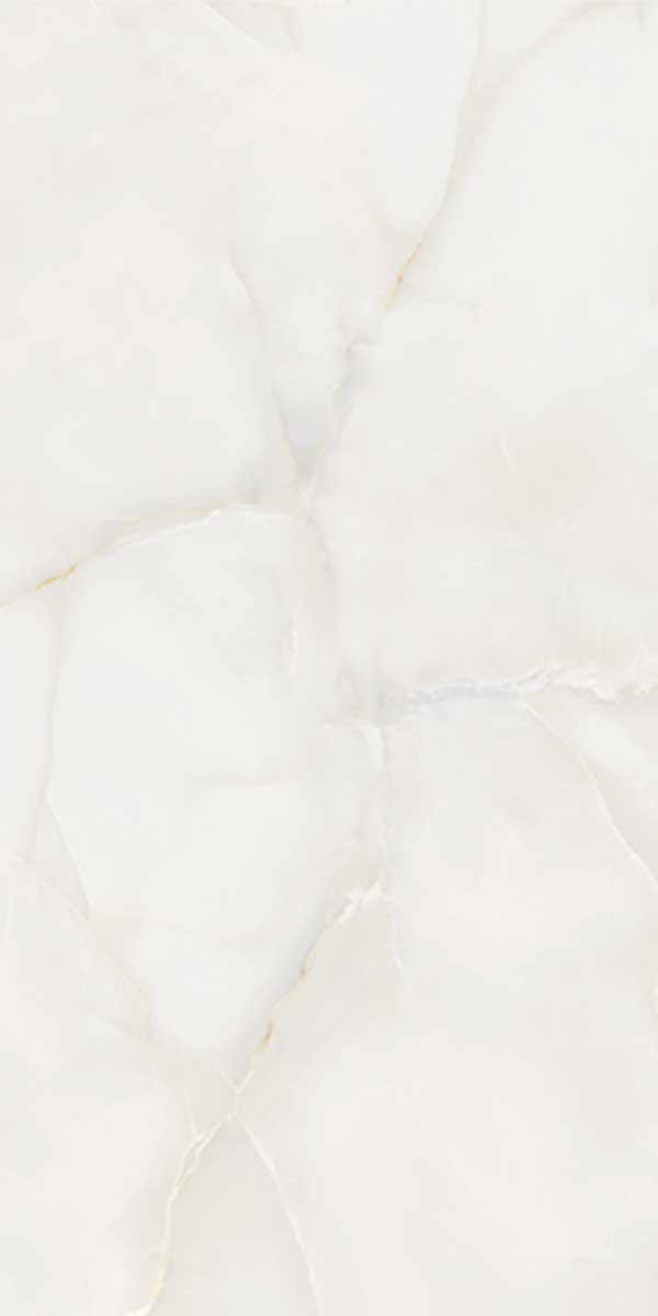 PROZZO 1161