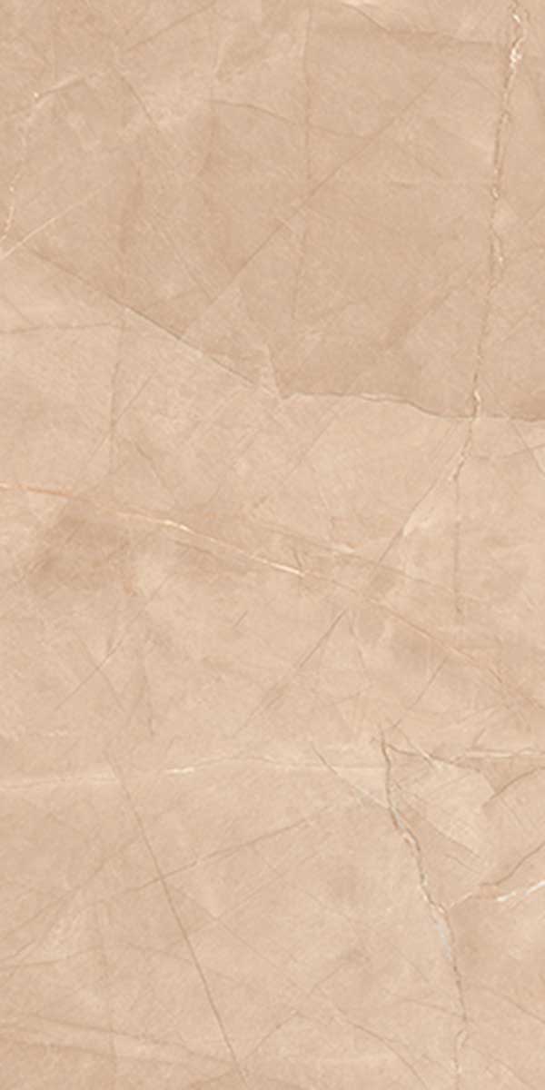 PROZZO 1164