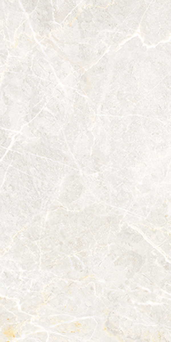 PROZZO 1171