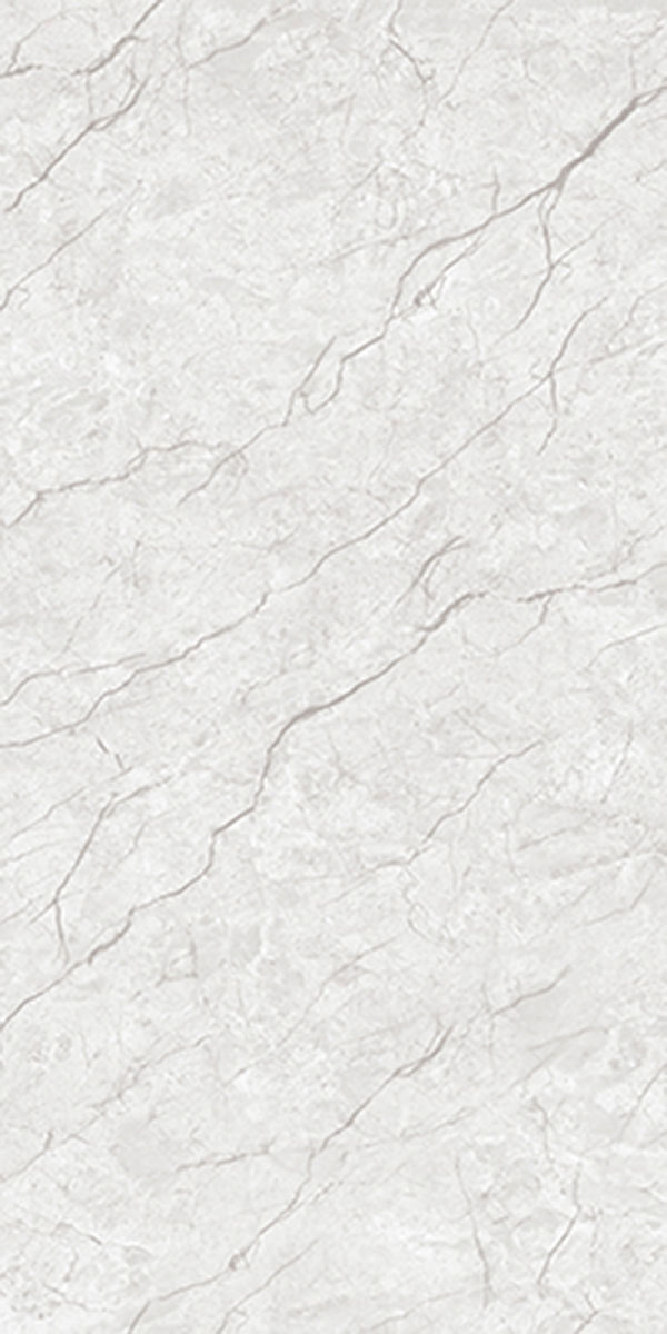 PROZZO 1195
