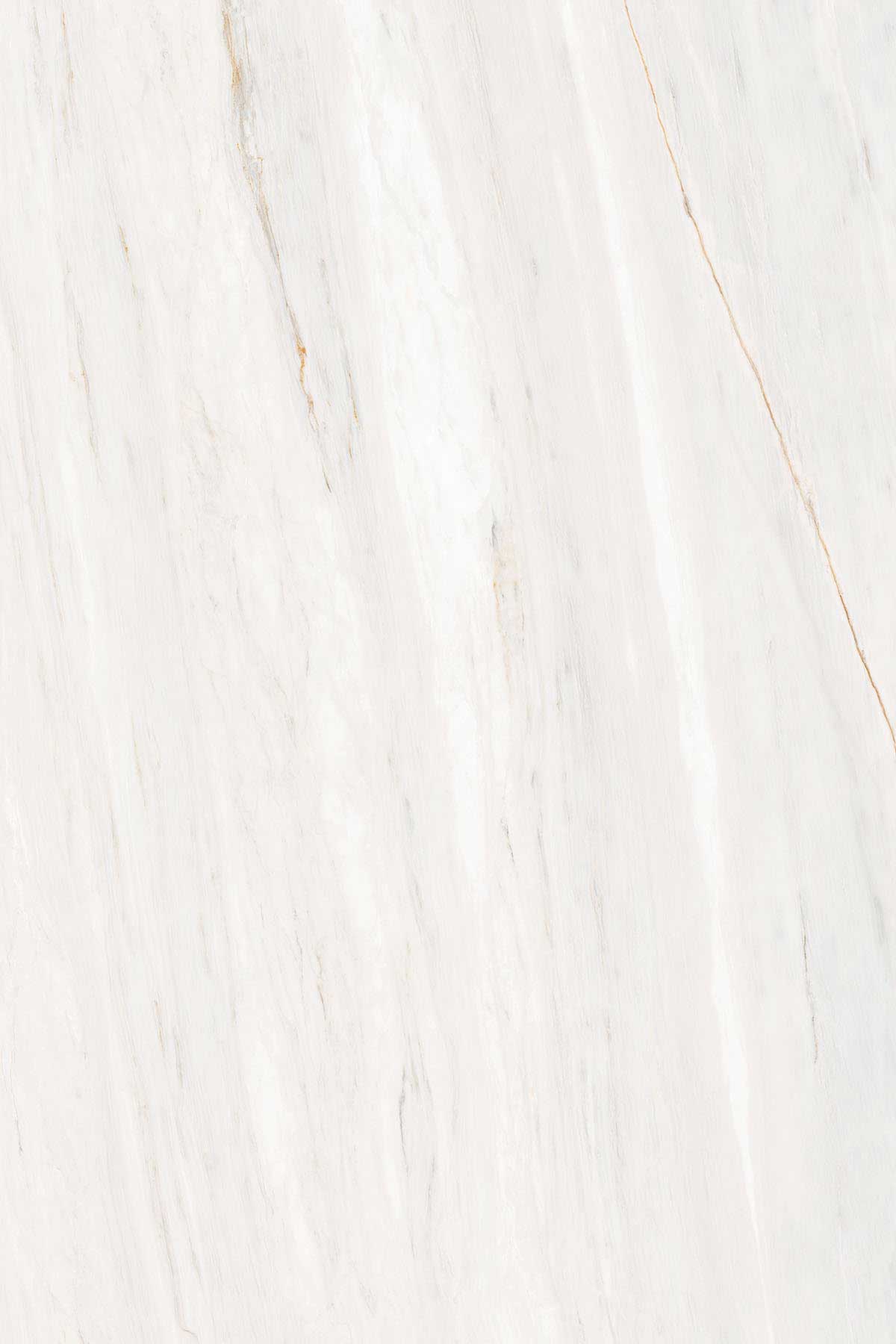 FAME WHITE