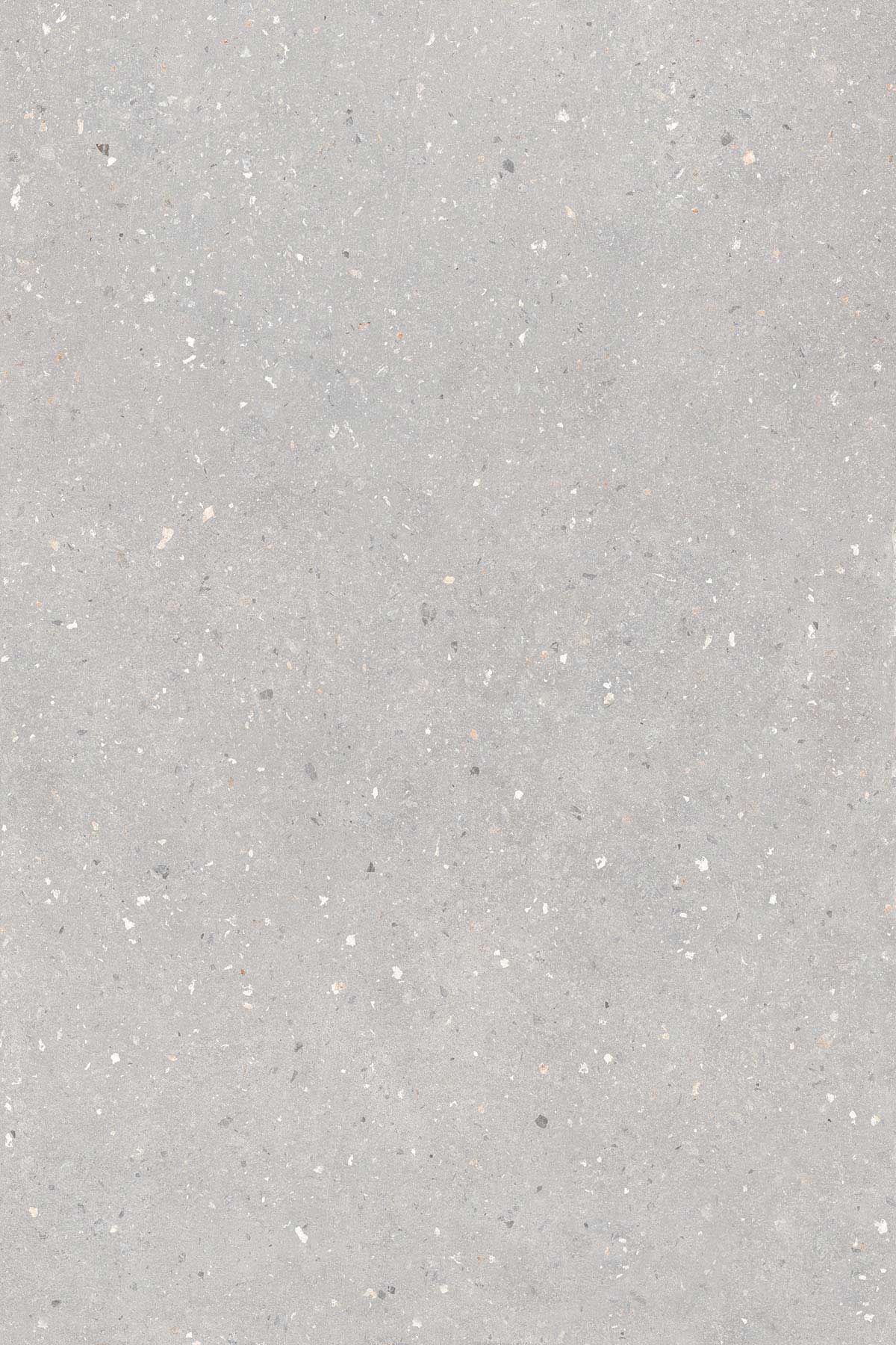 SPLINTO GREY