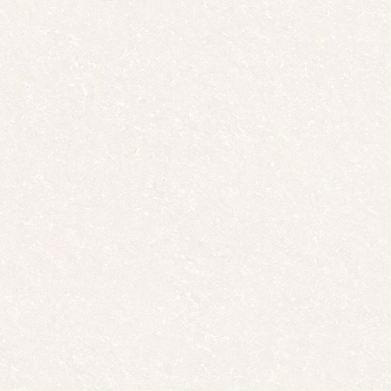 PROZZO WHITE