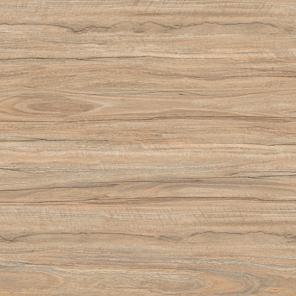 DUST CEDAR