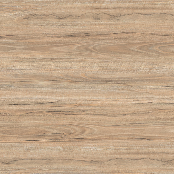 DUST CEDAR