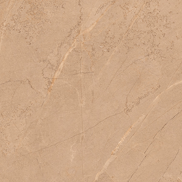 VENIO CAMEL
